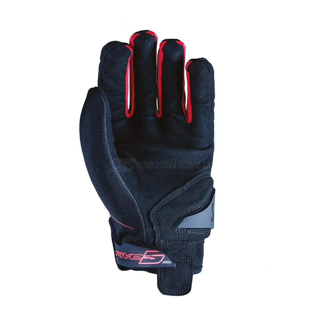 FIVE GLOVES GLOBE
