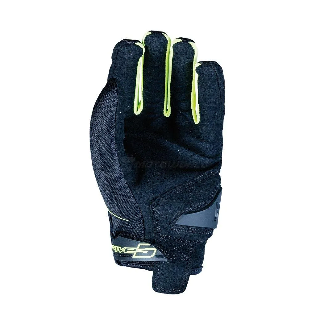 FIVE GLOVES GLOBE